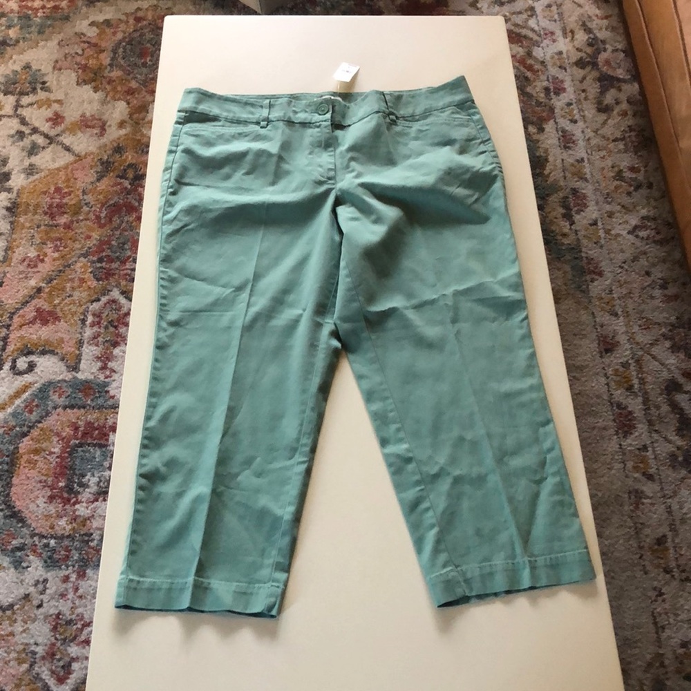 NWT Loft Outlet Green Crops